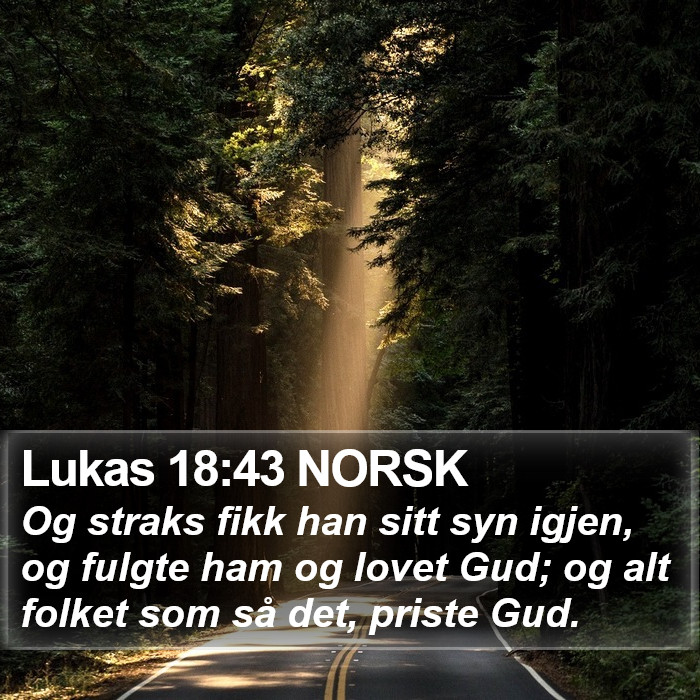 Lukas 18:43 NORSK Bible Study