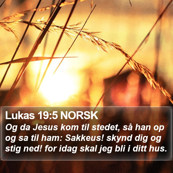 Lukas 19:5 NORSK Bible Study