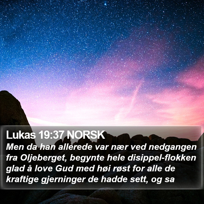 Lukas 19:37 NORSK Bible Study