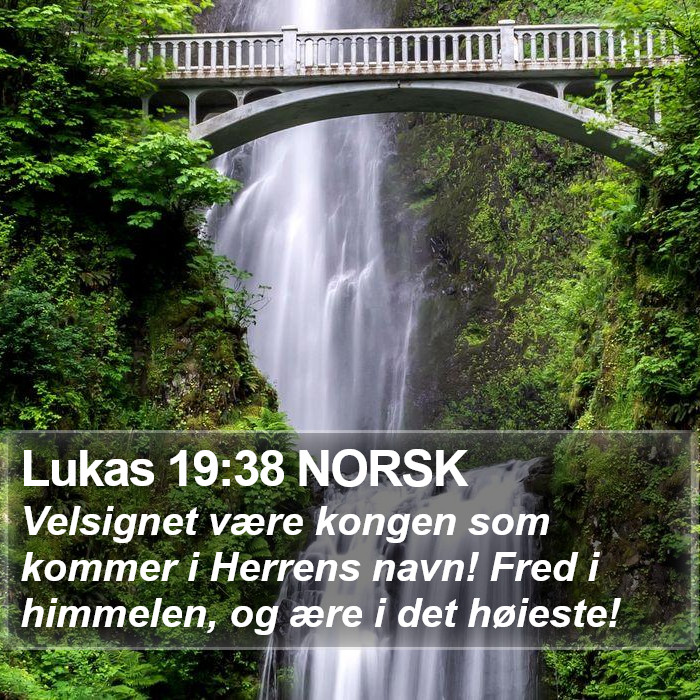 Lukas 19:38 NORSK Bible Study