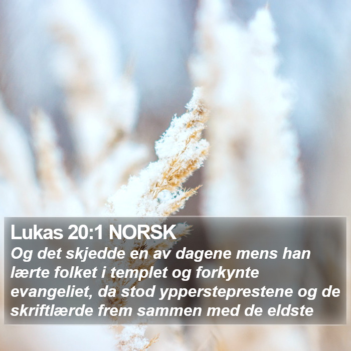 Lukas 20:1 NORSK Bible Study