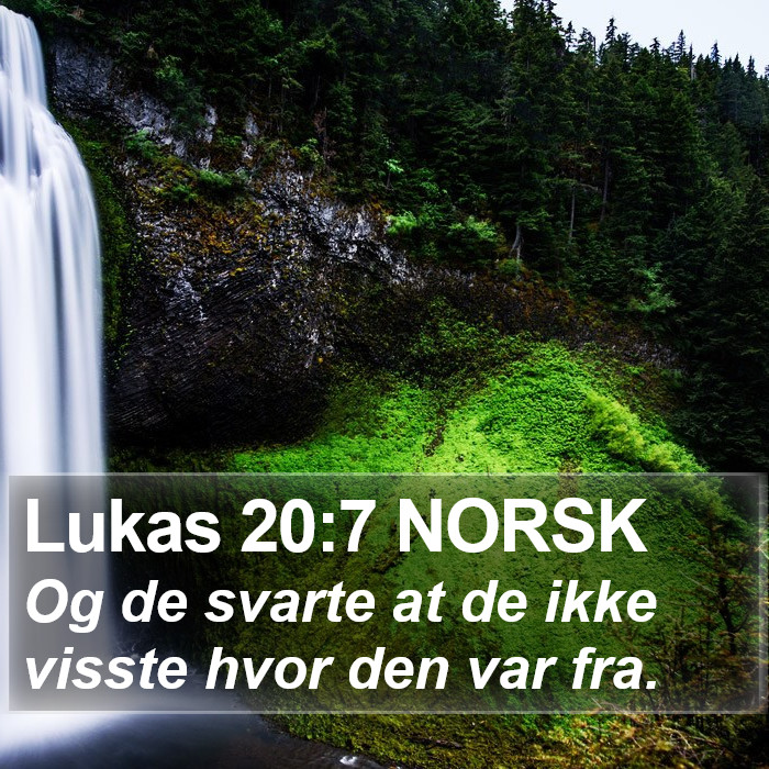 Lukas 20:7 NORSK Bible Study