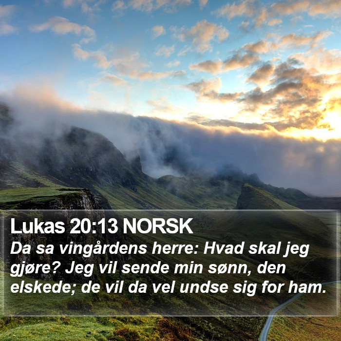 Lukas 20:13 NORSK Bible Study