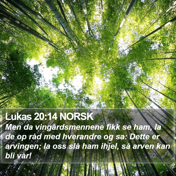 Lukas 20:14 NORSK Bible Study