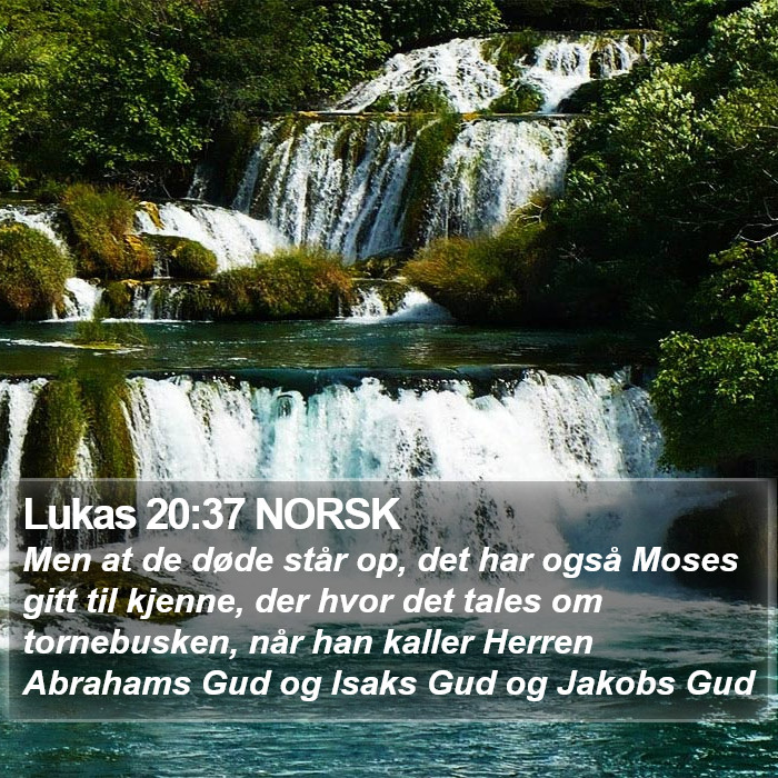 Lukas 20:37 NORSK Bible Study