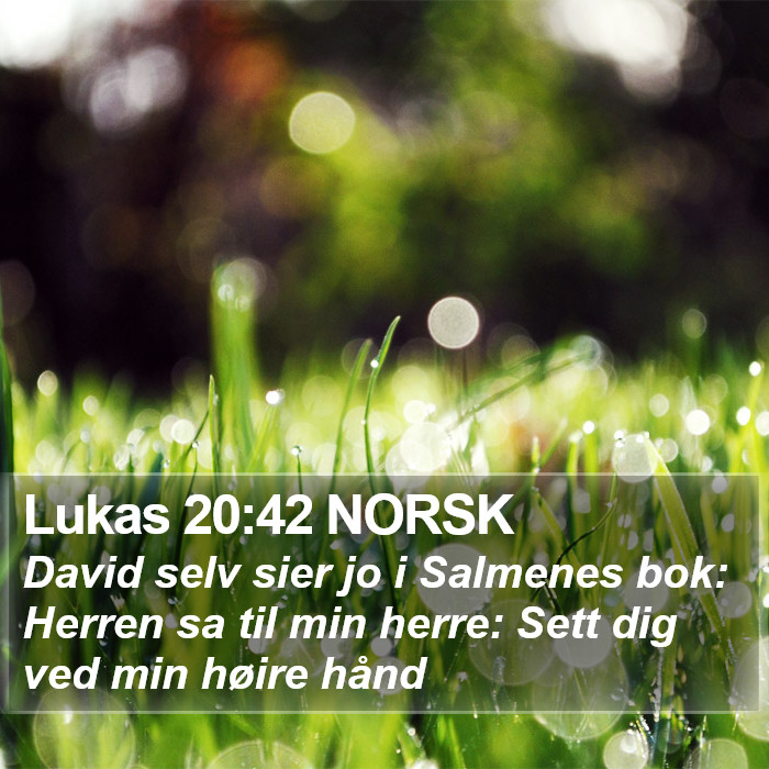 Lukas 20:42 NORSK Bible Study