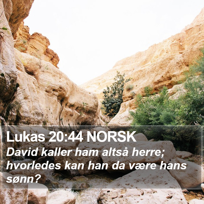 Lukas 20:44 NORSK Bible Study