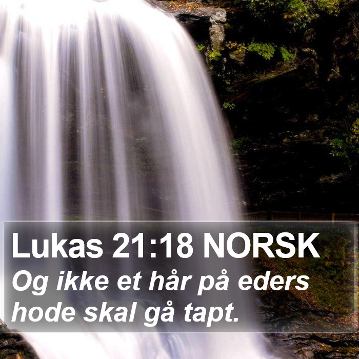 Lukas 21:18 NORSK Bible Study