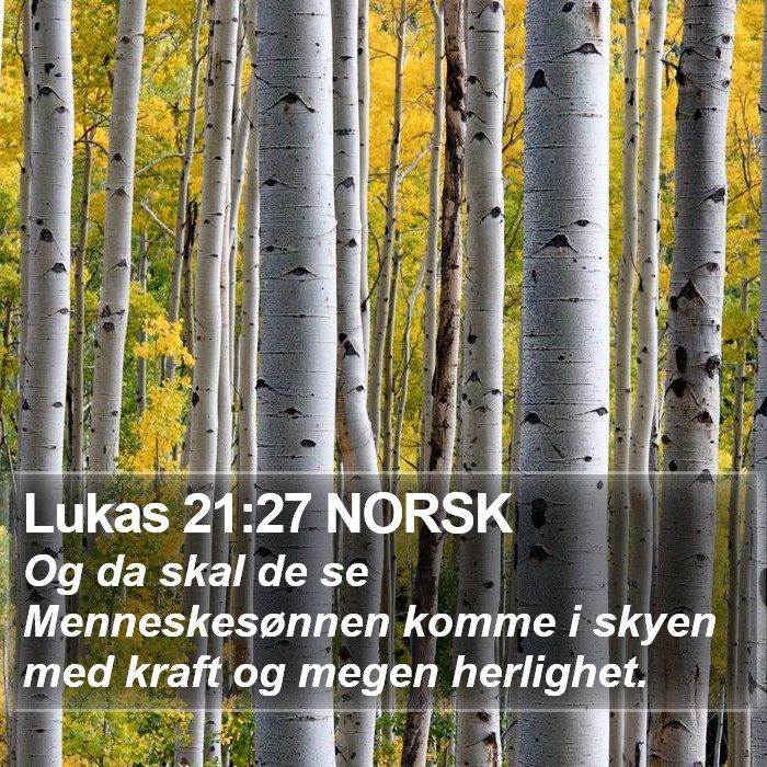 Lukas 21:27 NORSK Bible Study