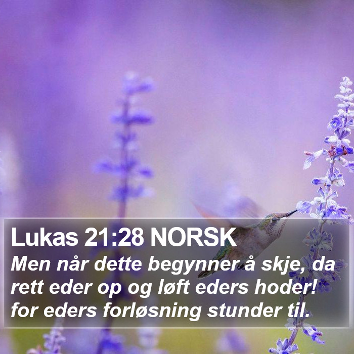 Lukas 21:28 NORSK Bible Study