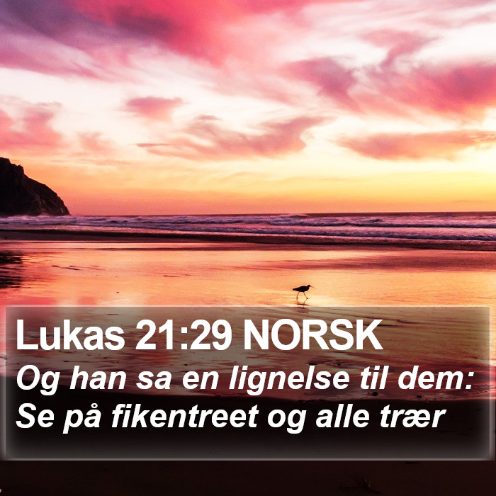 Lukas 21:29 NORSK Bible Study