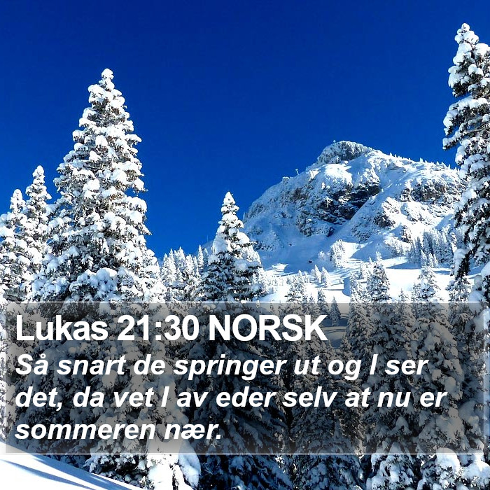 Lukas 21:30 NORSK Bible Study