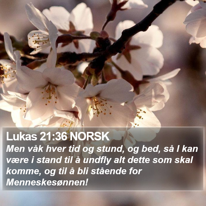 Lukas 21:36 NORSK Bible Study