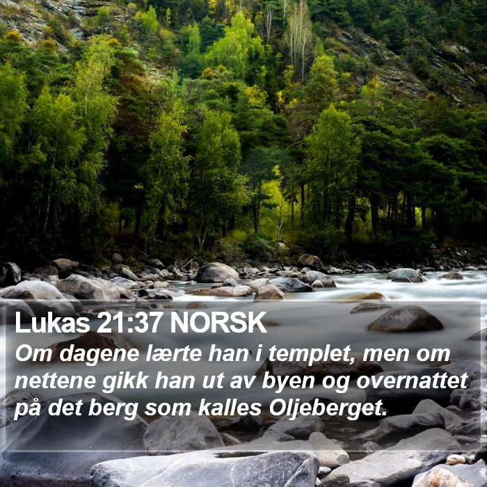 Lukas 21:37 NORSK Bible Study