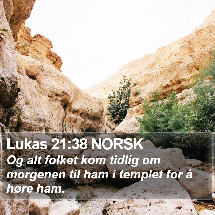 Lukas 21:38 NORSK Bible Study