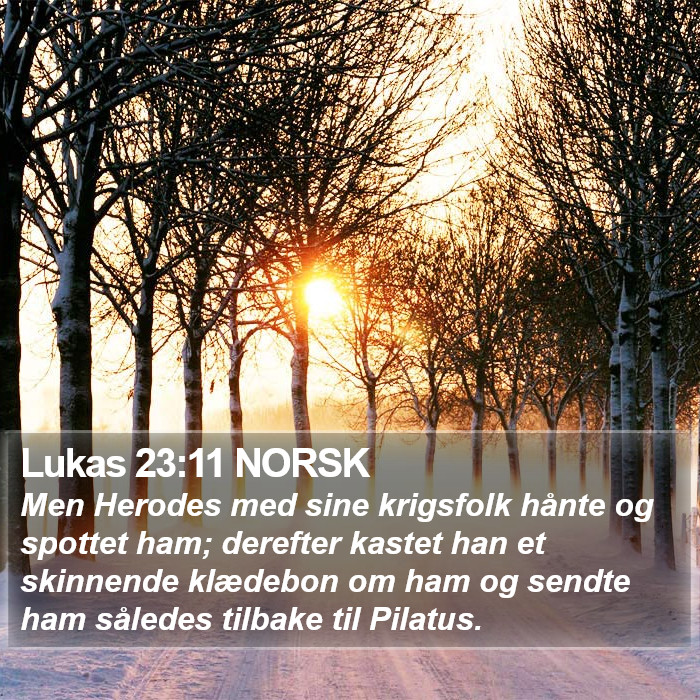Lukas 23:11 NORSK Bible Study