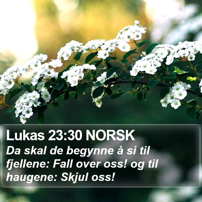 Lukas 23:30 NORSK Bible Study