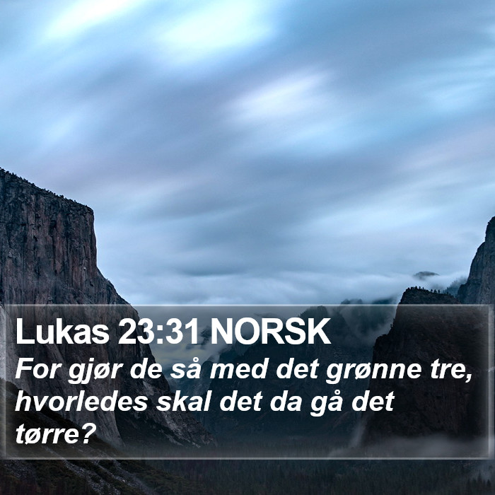 Lukas 23:31 NORSK Bible Study
