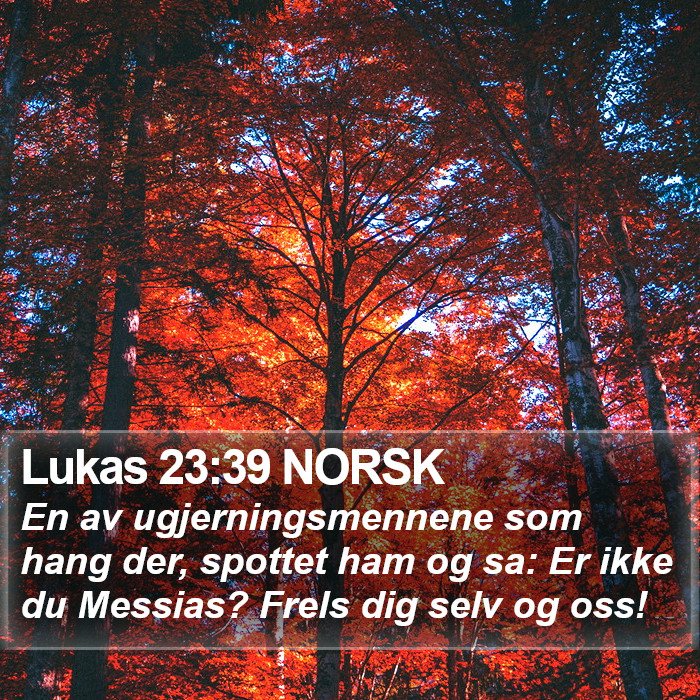 Lukas 23:39 NORSK Bible Study