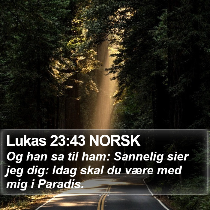 Lukas 23:43 NORSK Bible Study