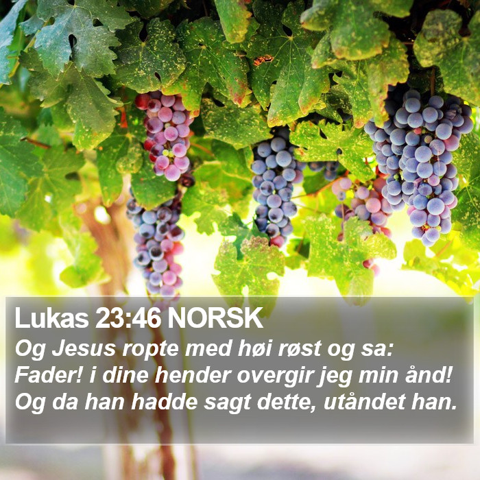 Lukas 23:46 NORSK Bible Study