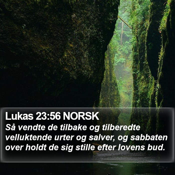 Lukas 23:56 NORSK Bible Study