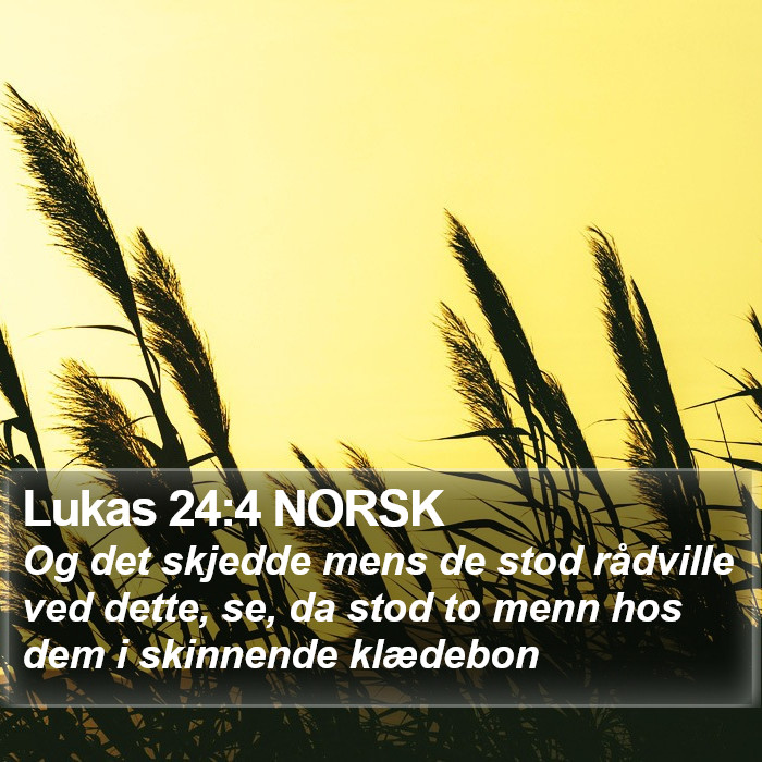 Lukas 24:4 NORSK Bible Study