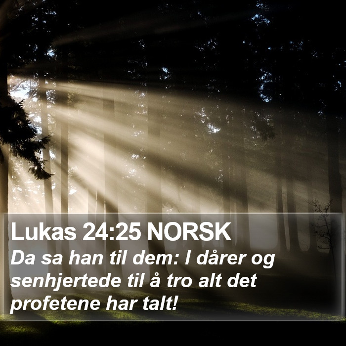 Lukas 24:25 NORSK Bible Study
