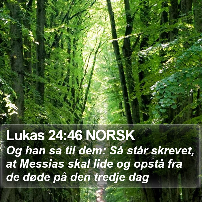 Lukas 24:46 NORSK Bible Study