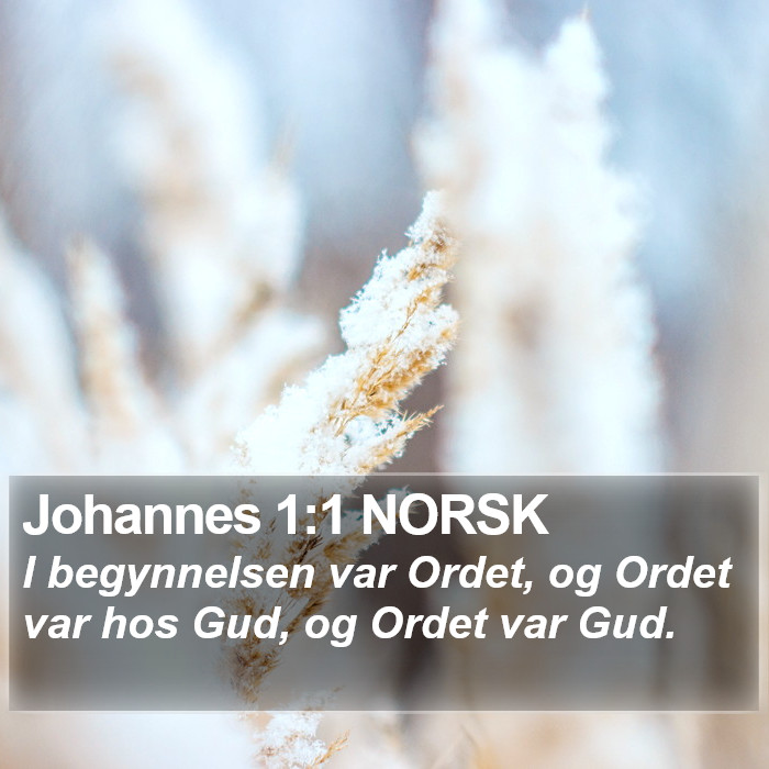 Johannes 1:1 NORSK Bible Study