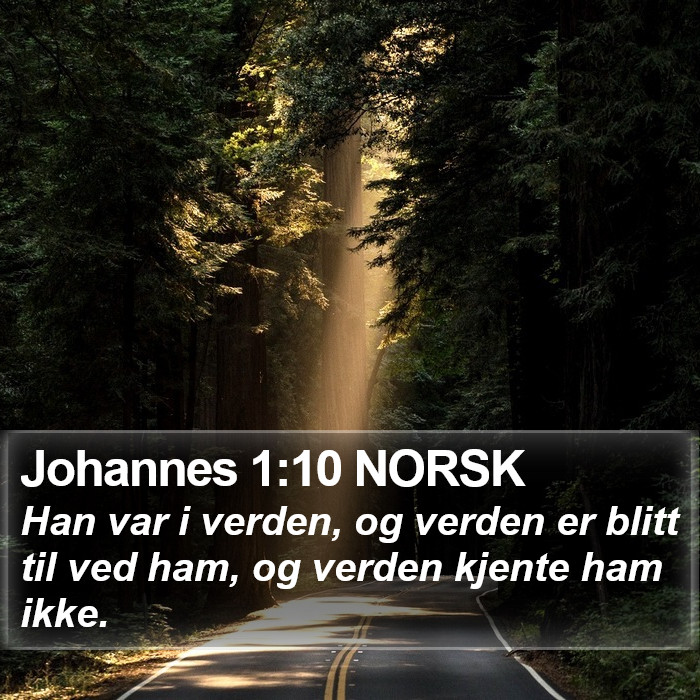 Johannes 1:10 NORSK Bible Study