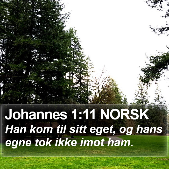 Johannes 1:11 NORSK Bible Study