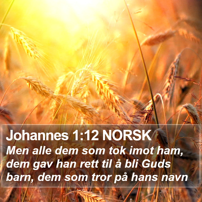 Johannes 1:12 NORSK Bible Study