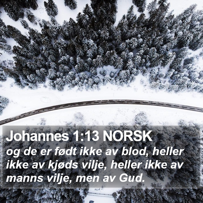 Johannes 1:13 NORSK Bible Study