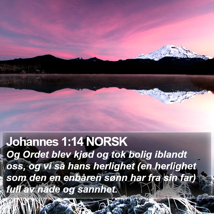 Johannes 1:14 NORSK Bible Study