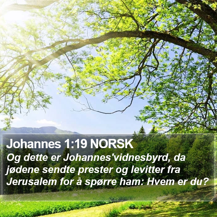 Johannes 1:19 NORSK Bible Study