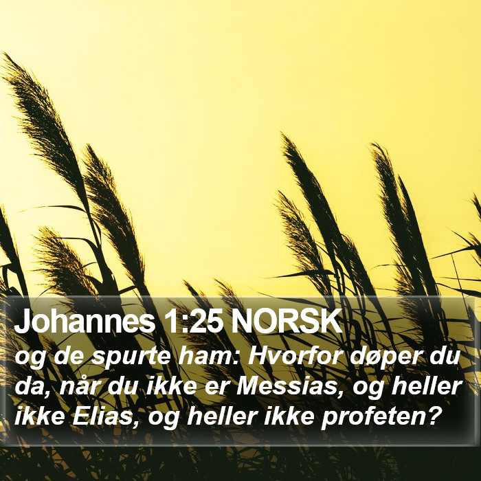 Johannes 1:25 NORSK Bible Study