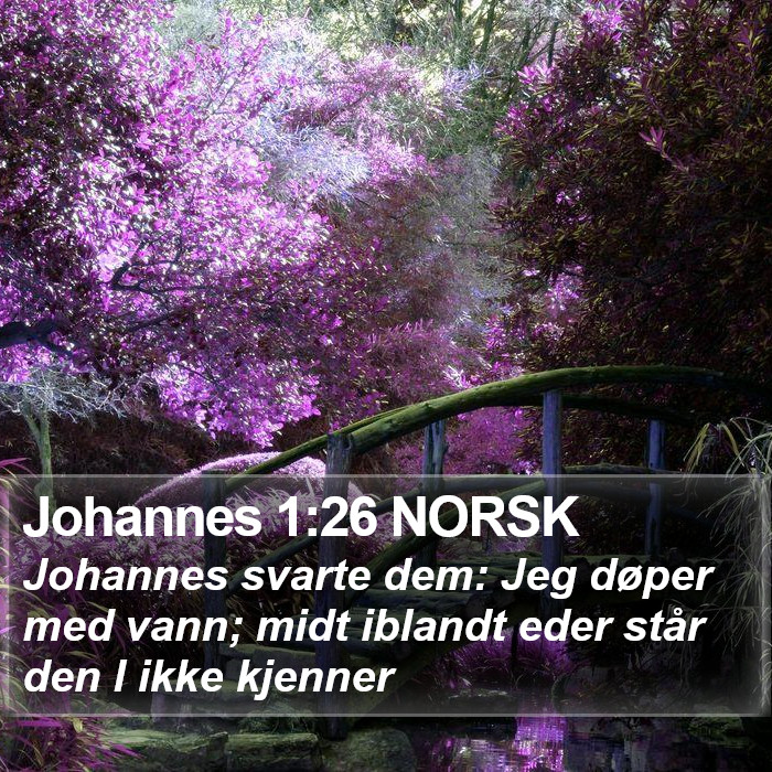 Johannes 1:26 NORSK Bible Study