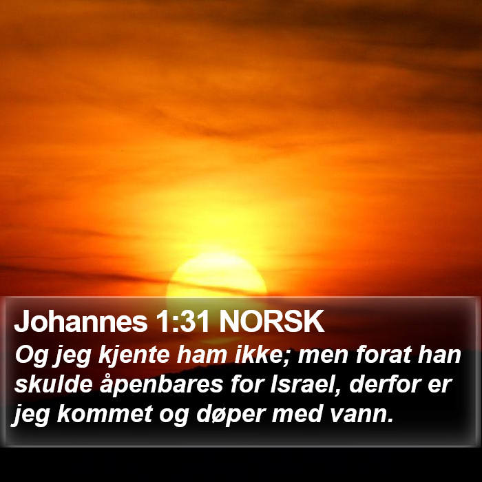 Johannes 1:31 NORSK Bible Study