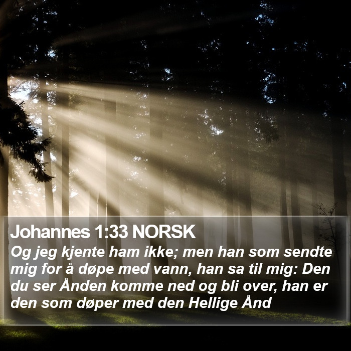 Johannes 1:33 NORSK Bible Study