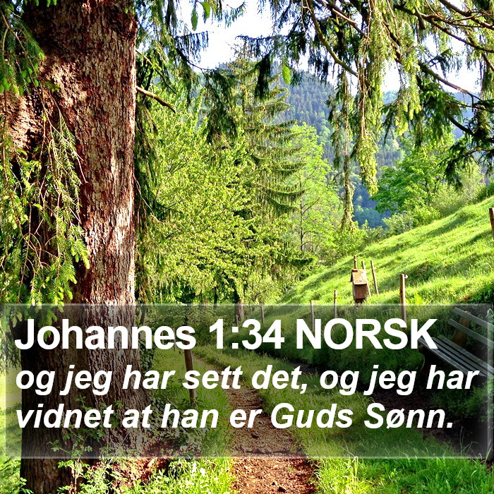 Johannes 1:34 NORSK Bible Study