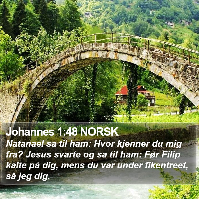 Johannes 1:48 NORSK Bible Study