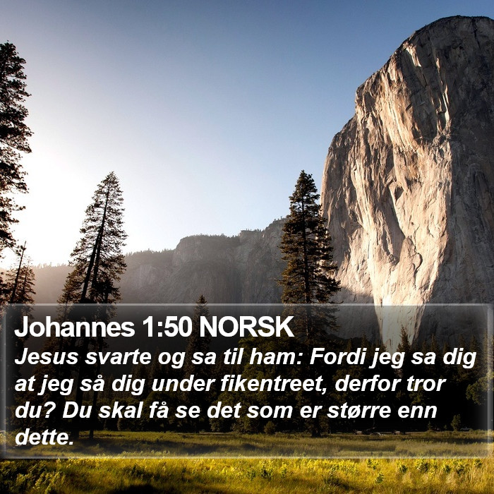 Johannes 1:50 NORSK Bible Study