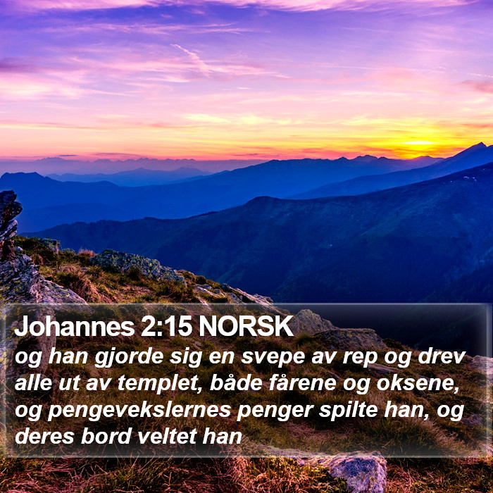 Johannes 2:15 NORSK Bible Study