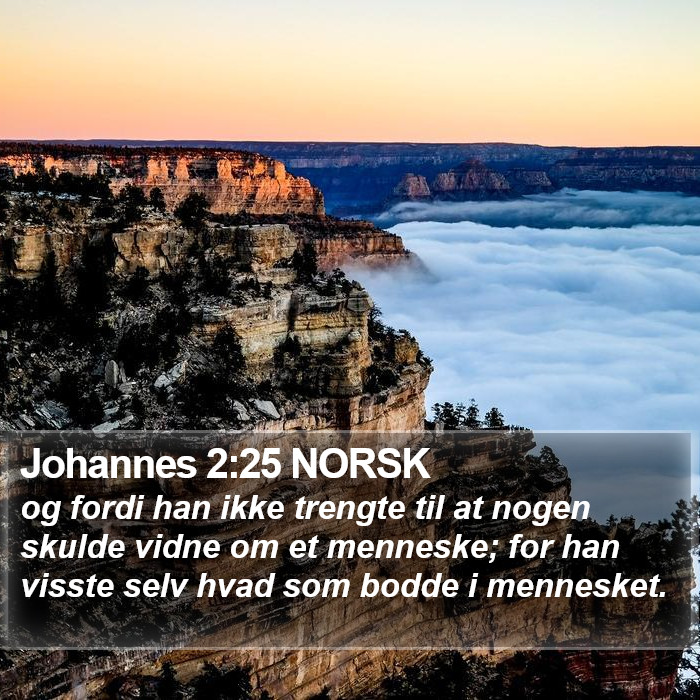 Johannes 2:25 NORSK Bible Study