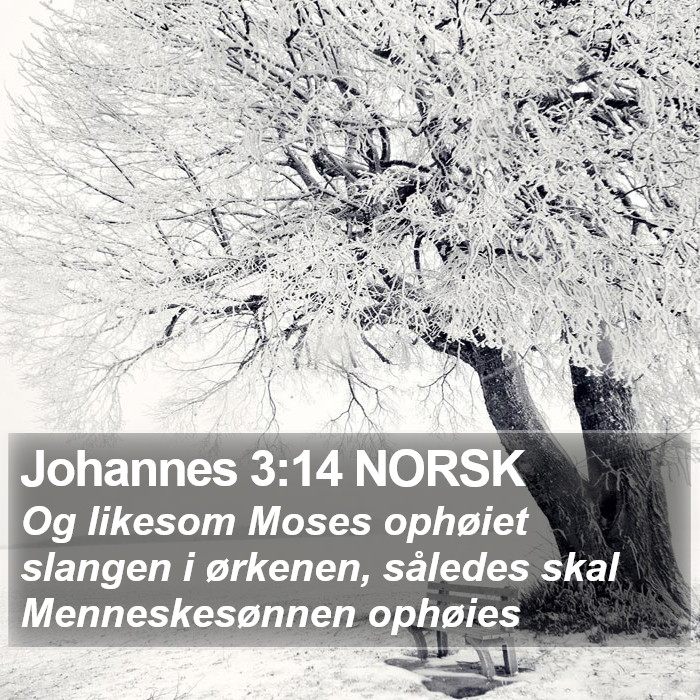 Johannes 3:14 NORSK Bible Study