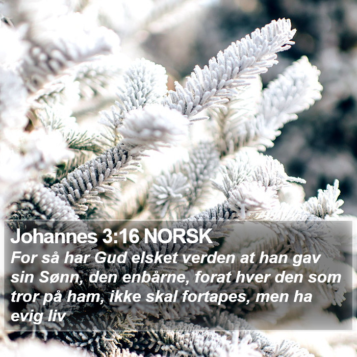 Johannes 3:16 NORSK Bible Study