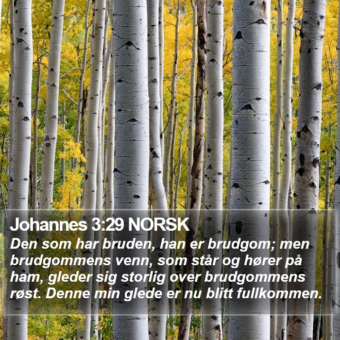 Johannes 3:29 NORSK Bible Study