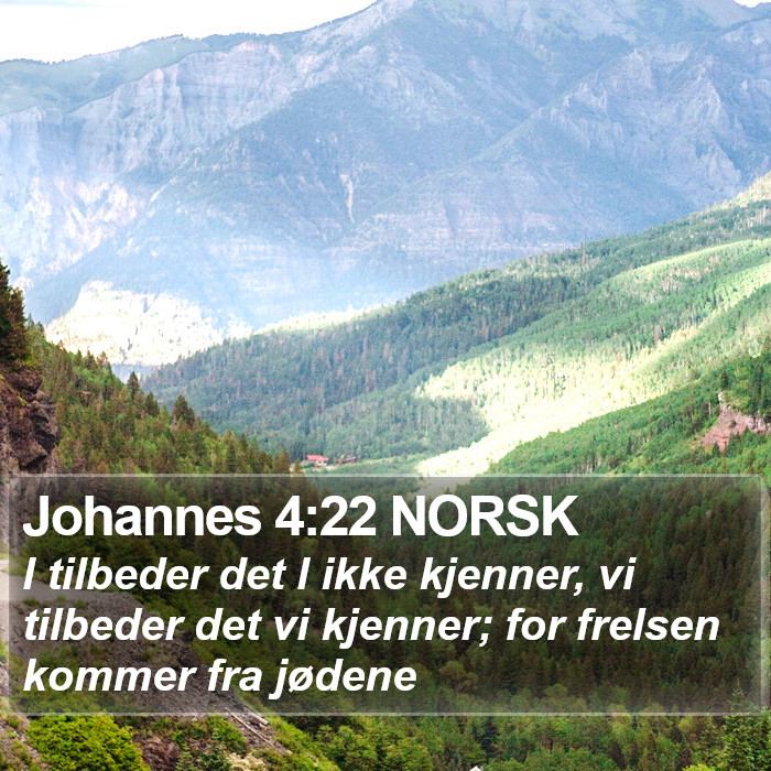 Johannes 4:22 NORSK Bible Study