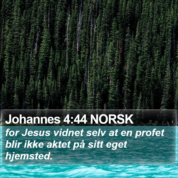 Johannes 4:44 NORSK Bible Study